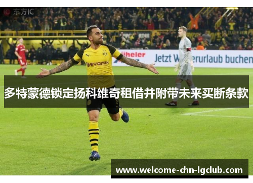多特蒙德锁定扬科维奇租借并附带未来买断条款