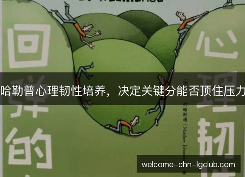 哈勒普心理韧性培养,决定关键分能否顶住压力 哈勒普心理韧性培养,决定关键分能否顶住压力
